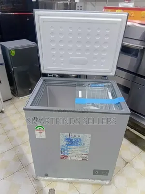 Roch Freezer – Durable and Reliable Storage for Home Business