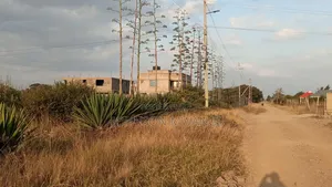 Prime Residential Plot in Jujafarm Mastoo 