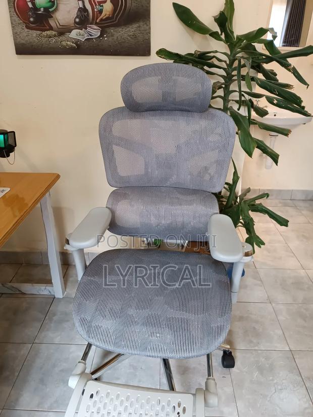 Egornomic Executive Office Mesh Chair - thumbnail 3