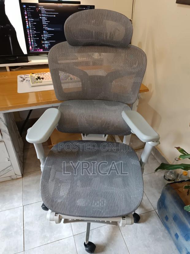 Egornomic Executive Office Mesh Chair - main view