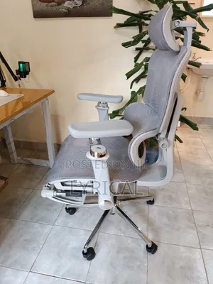 Egornomic Executive Office Mesh Chair