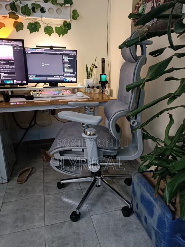 Egornomic Executive Office Mesh Chair - thumbnail 6