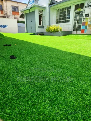 Bring Luxury With Grass Carpet