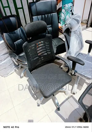 Ergonomic Chair Mesh