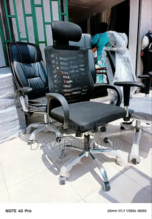 Ergonomic Chair Mesh