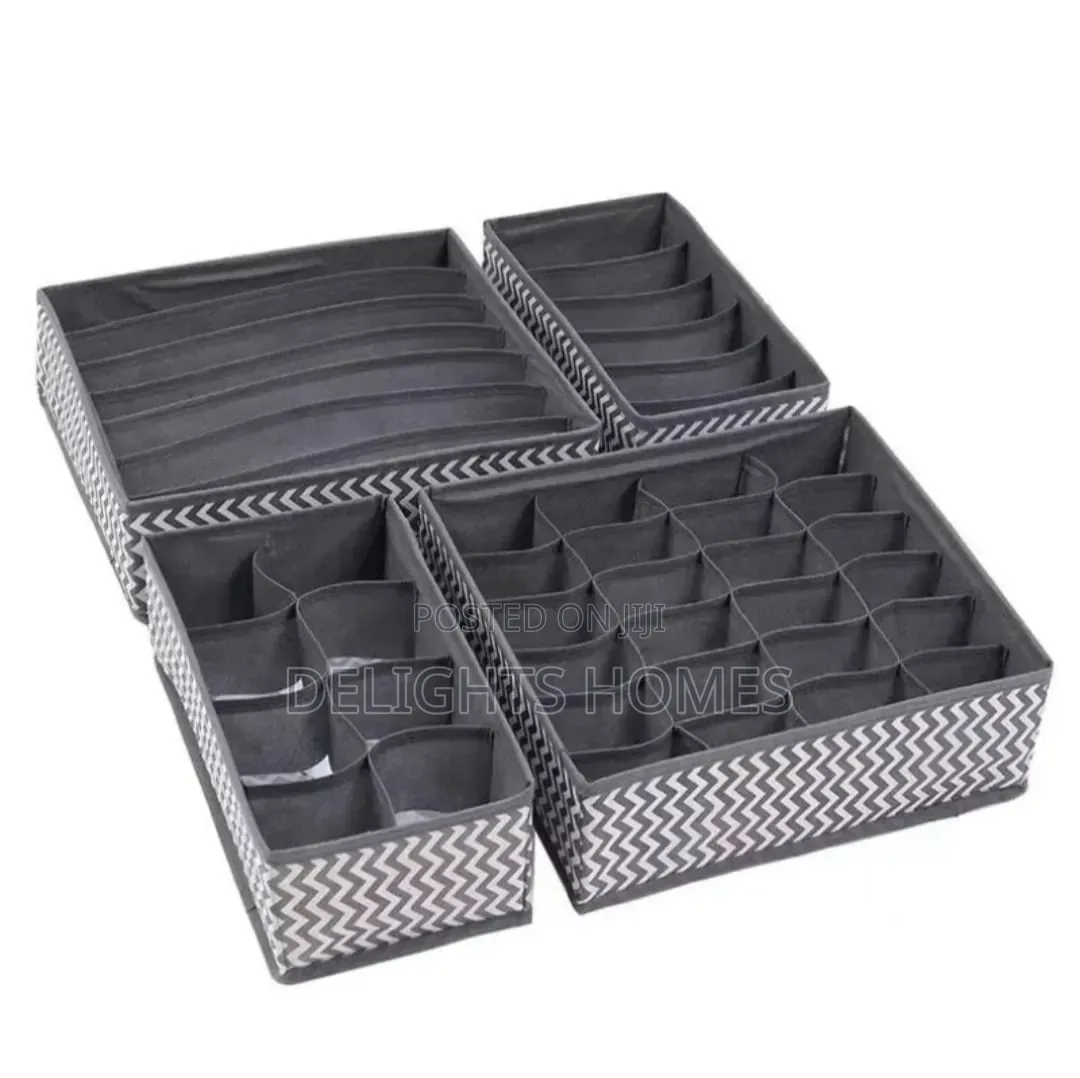 4in 1 Under Garment Organizer_car