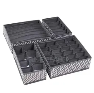 4in 1 Under Garment Organizer_car