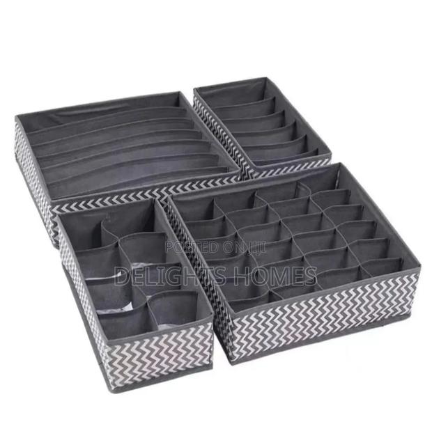 4in 1 Under Garment Organizer_car - main view