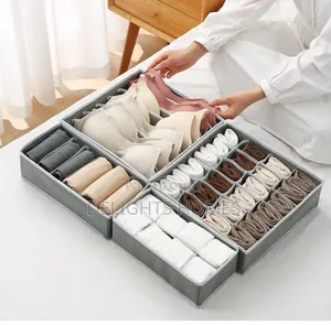 4in 1 Under Garment Organizer_car
