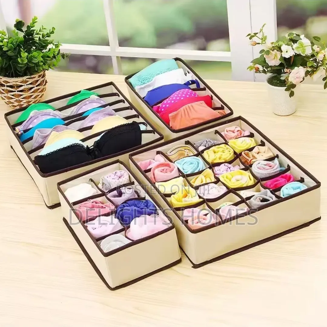 4in 1 Under Garment Organizer_car