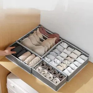 4in 1 Under Garment Organizer_car
