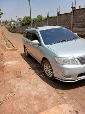 Toyota Corolla Fielder 2006 Silver
