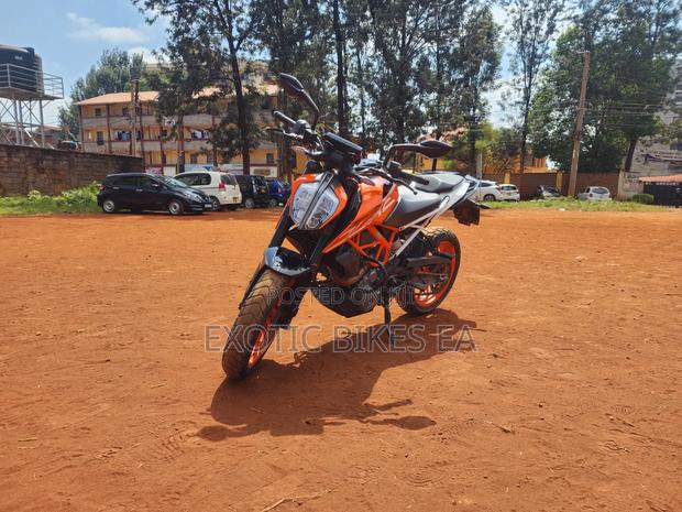 KTM 2019 Orange - thumbnail 2