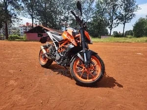KTM 2019 Orange