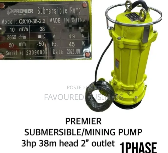 Assured 3hp Premier Mining Pump / Top Quality 38 Head 2 Outlet.