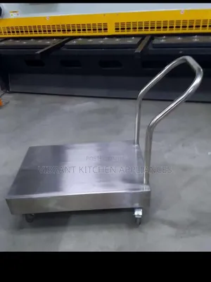 Heavy-Duty SS Transport Cart With Handle