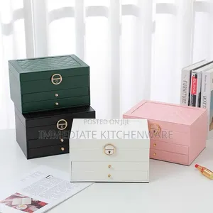 Multi Layer Jewelry Storage Box/Earring Organizer