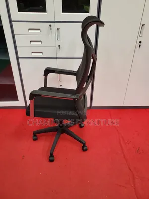 Elongated High Ergonomic Office Chair