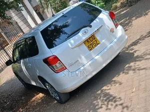 Toyota Corolla Fielder 2010 White