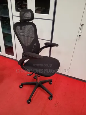 Adjustable Back Ergonomic Chair