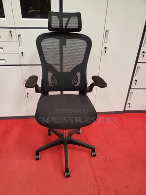 Adjustable Back Ergonomic Chair