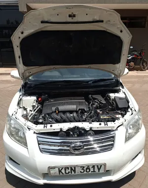 Toyota Axio 2010 White