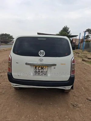 Toyota Probox 2010 White