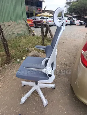Premium High Back Mesh Chair