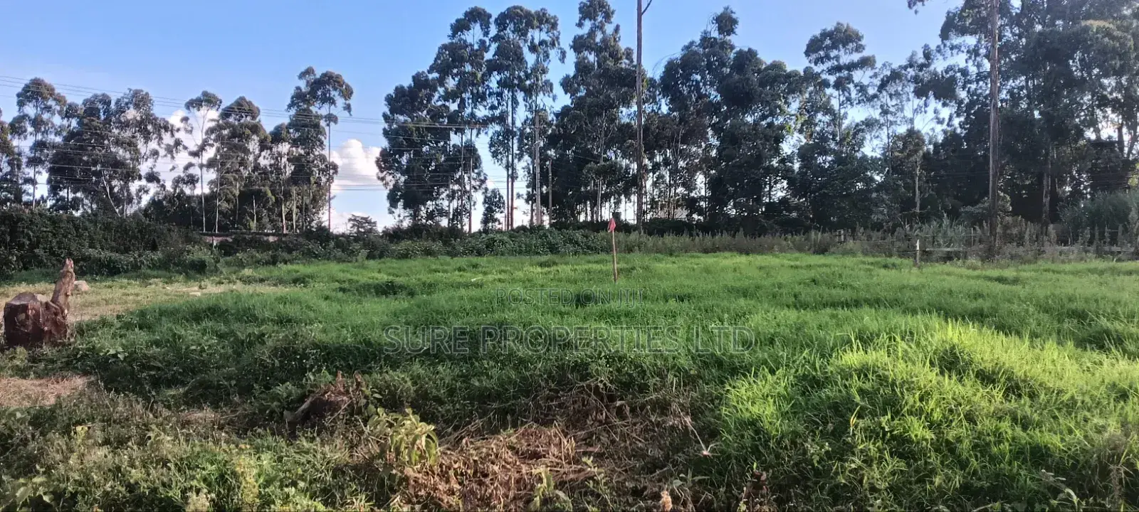 50x100 Residential Plot, Kikuyu