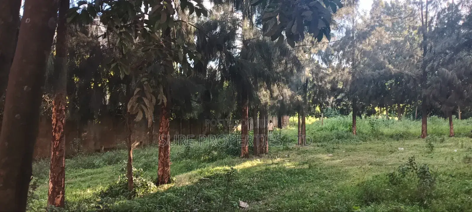 50x100 Residential Plot, Kikuyu