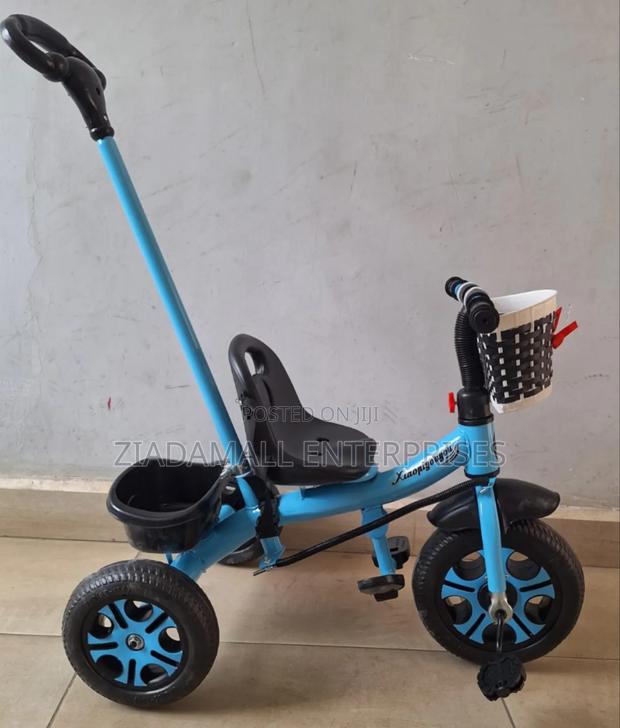Tricycle With Push Handle - main view