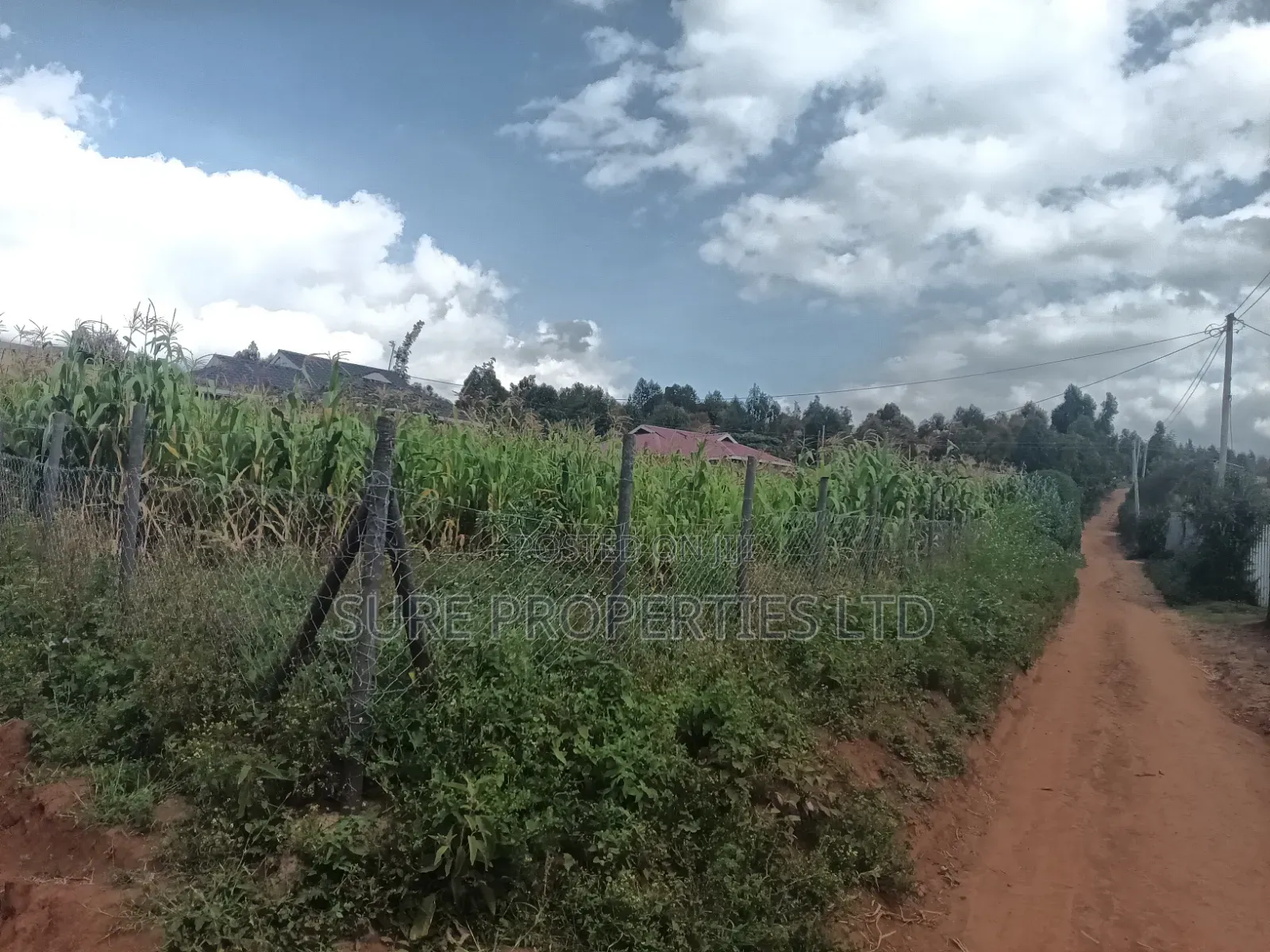 50x100 Plot Kikuyu, Lusingetti, Ndacha, Kamangu Kinoo