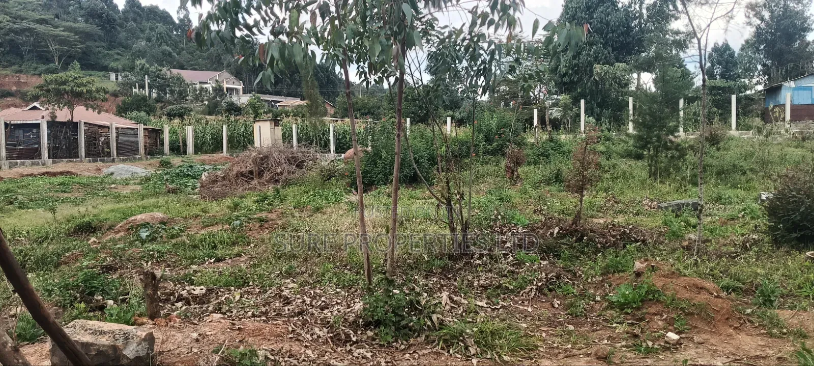 50x100 Plot Kikuyu, Lusingetti, Ndacha, Kamangu Kinoo