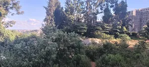 Kikuyu, Gitaru 50x100 Plot