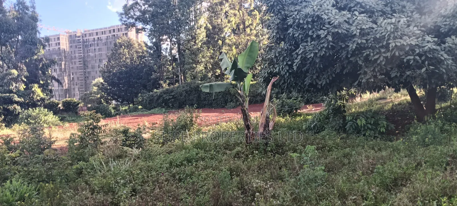 Kikuyu, Gitaru 50x100 Plot