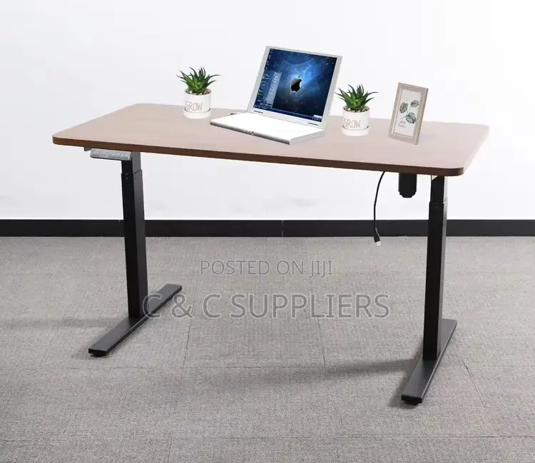 Computer Electric Stand Up Desk
