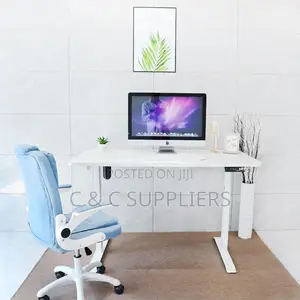 Computer Electric Stand Up Desk