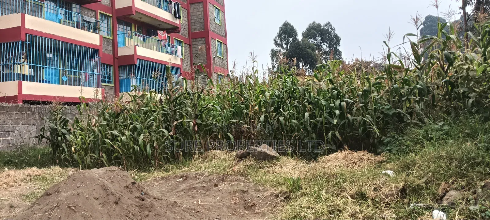 Kikuyu, Gitaru 50x100 Plot