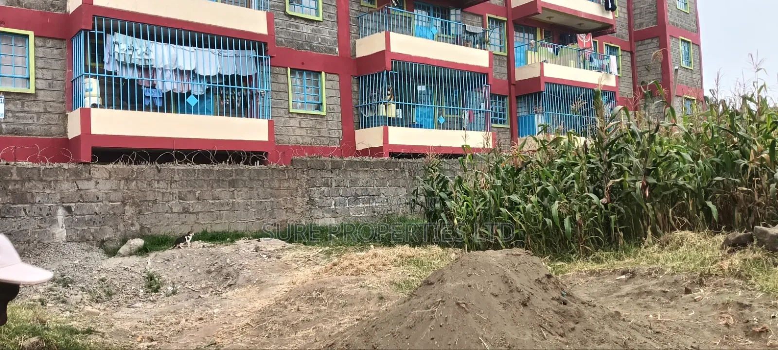 Kikuyu, Gitaru 50x100 Plot