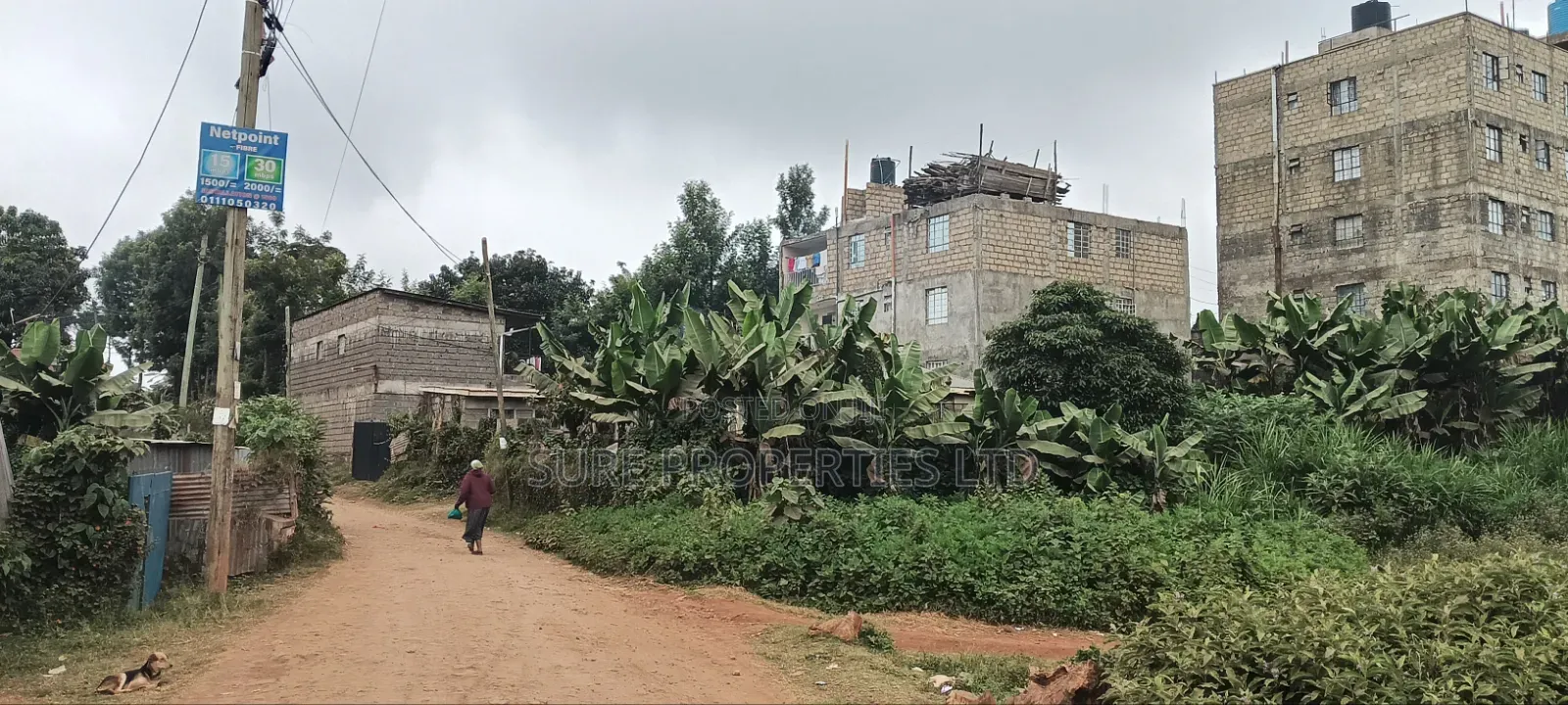 Kikuyu, Gitaru 50x100 Plot