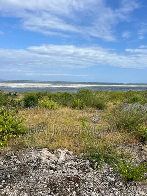 2 Acres on the Beach in Watamu