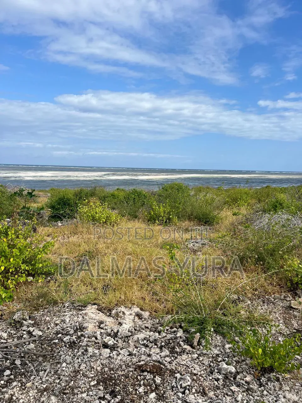 2 Acres on the Beach in Watamu