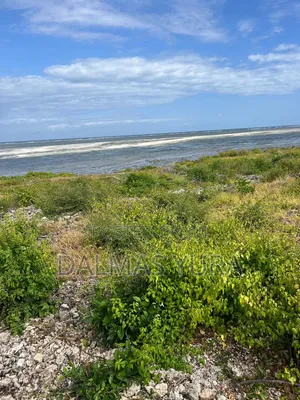 2 Acres on the Beach in Watamu