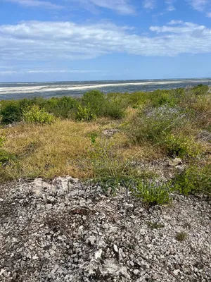 2 Acres on the Beach in Watamu