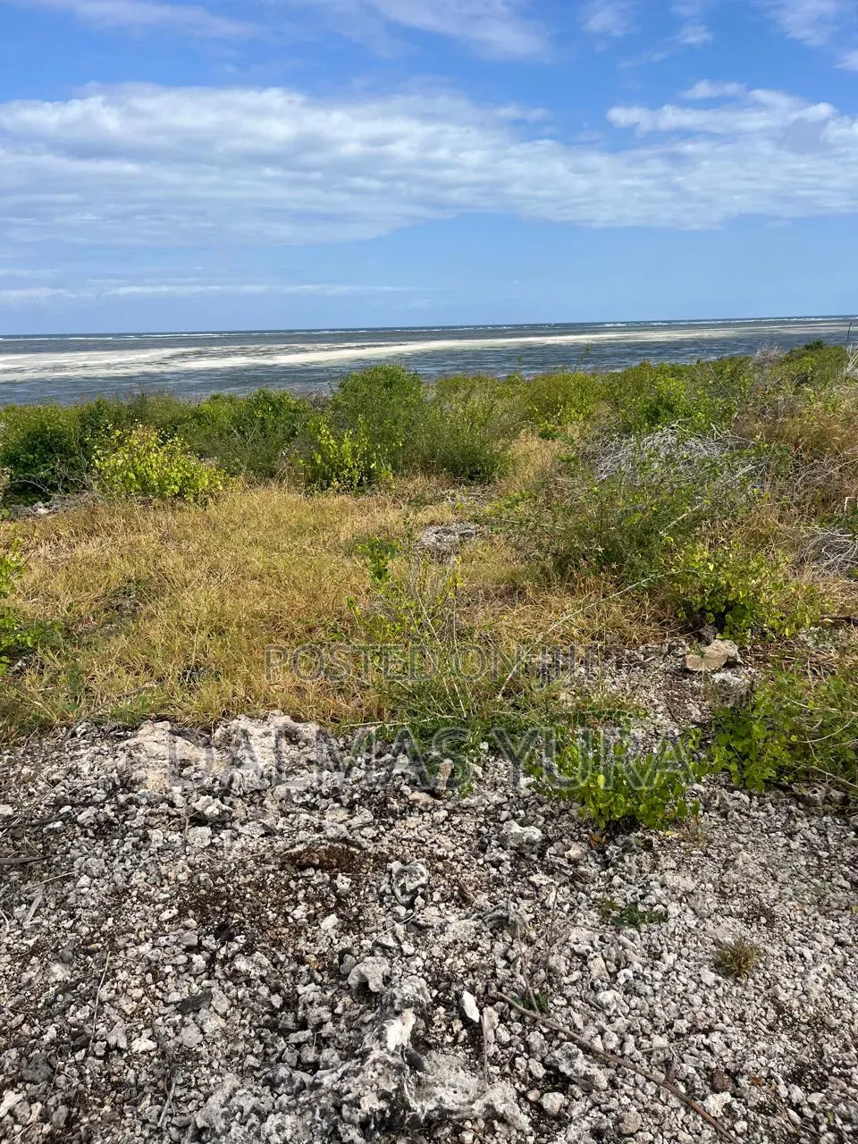 2 Acres on the Beach in Watamu
