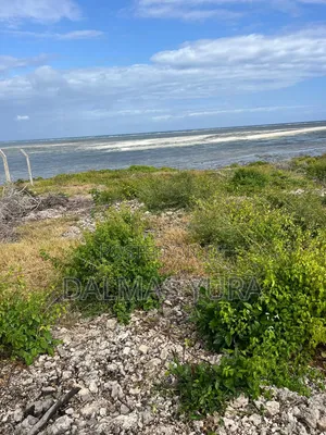 2 Acres on the Beach in Watamu