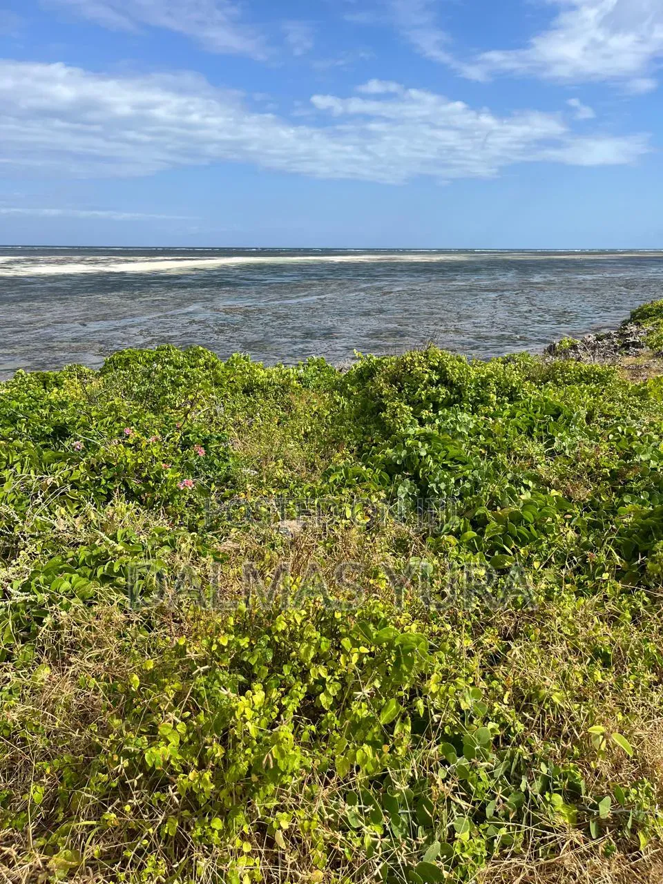 2 Acres on the Beach in Watamu
