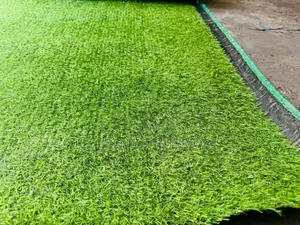 Beautiful Lawns, Graced With Artificial 10mm Grass Carpet