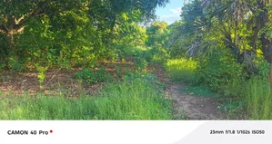1 Acre Beach Plot for Sale in Diani Kwale County