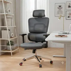 Office Chair; Orthopedic DDx5 Office Chairs